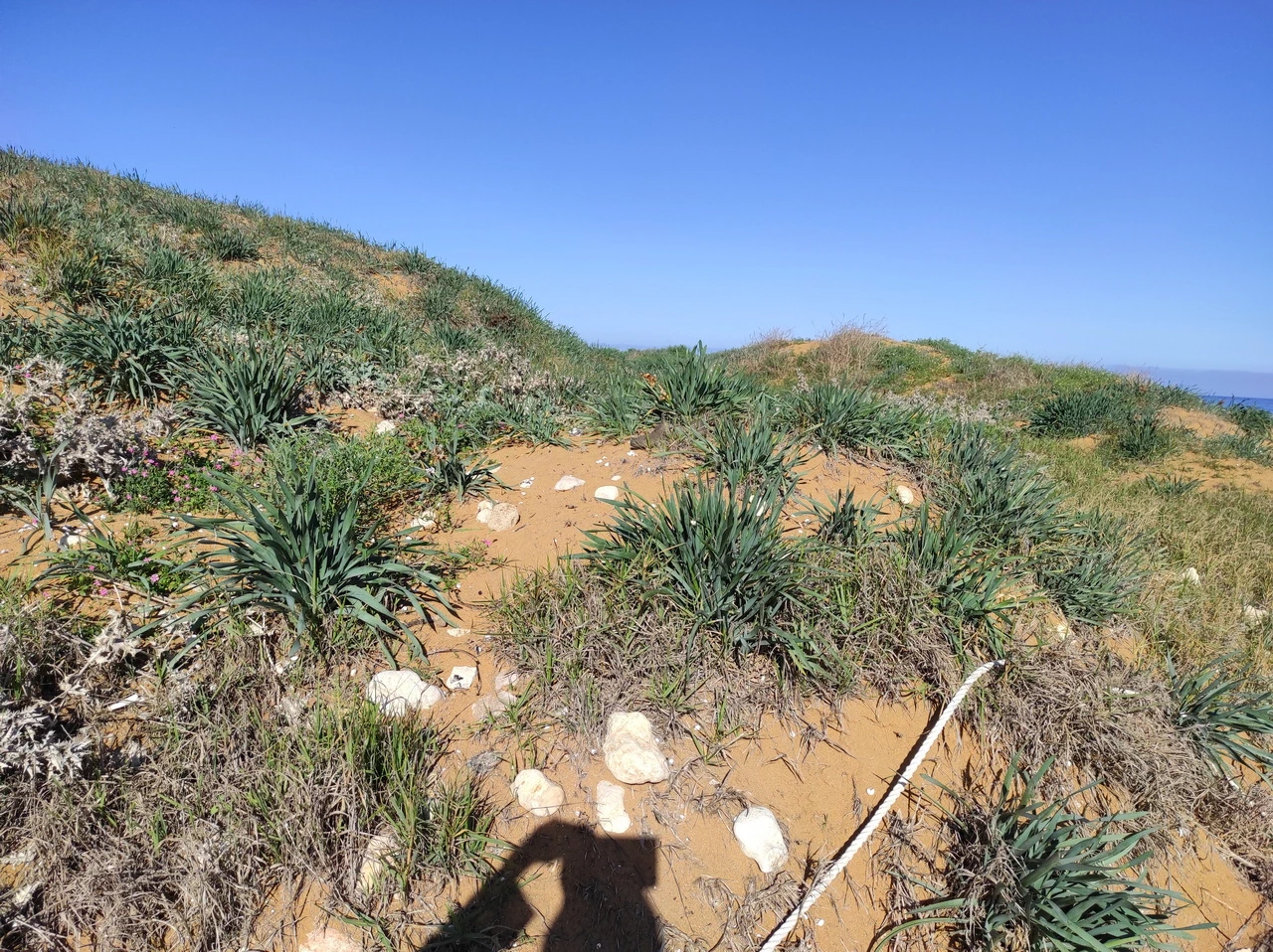 Le dune di Ramla Bay