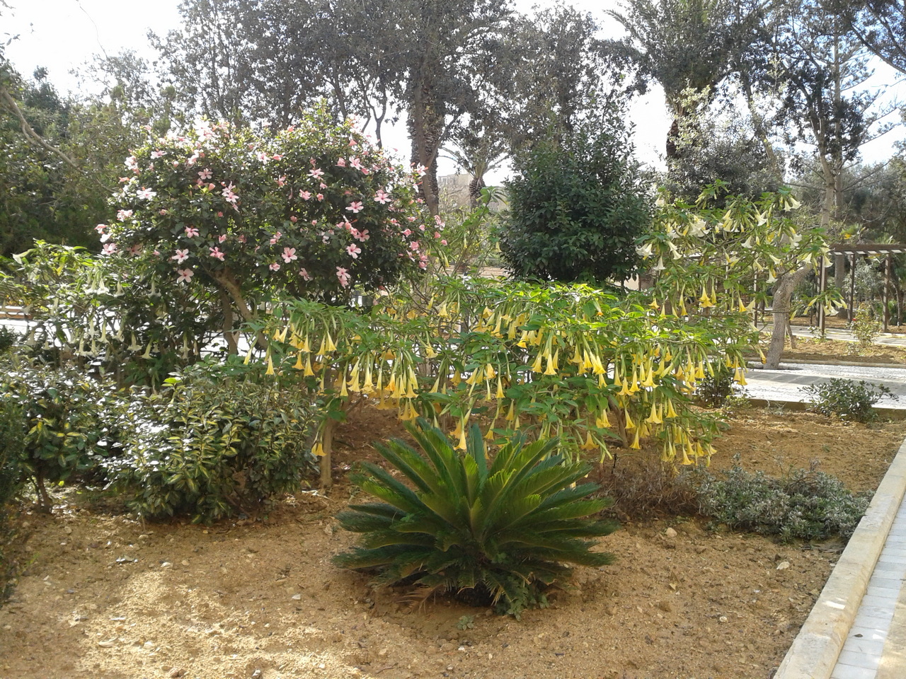 Villa Rundle Gozo