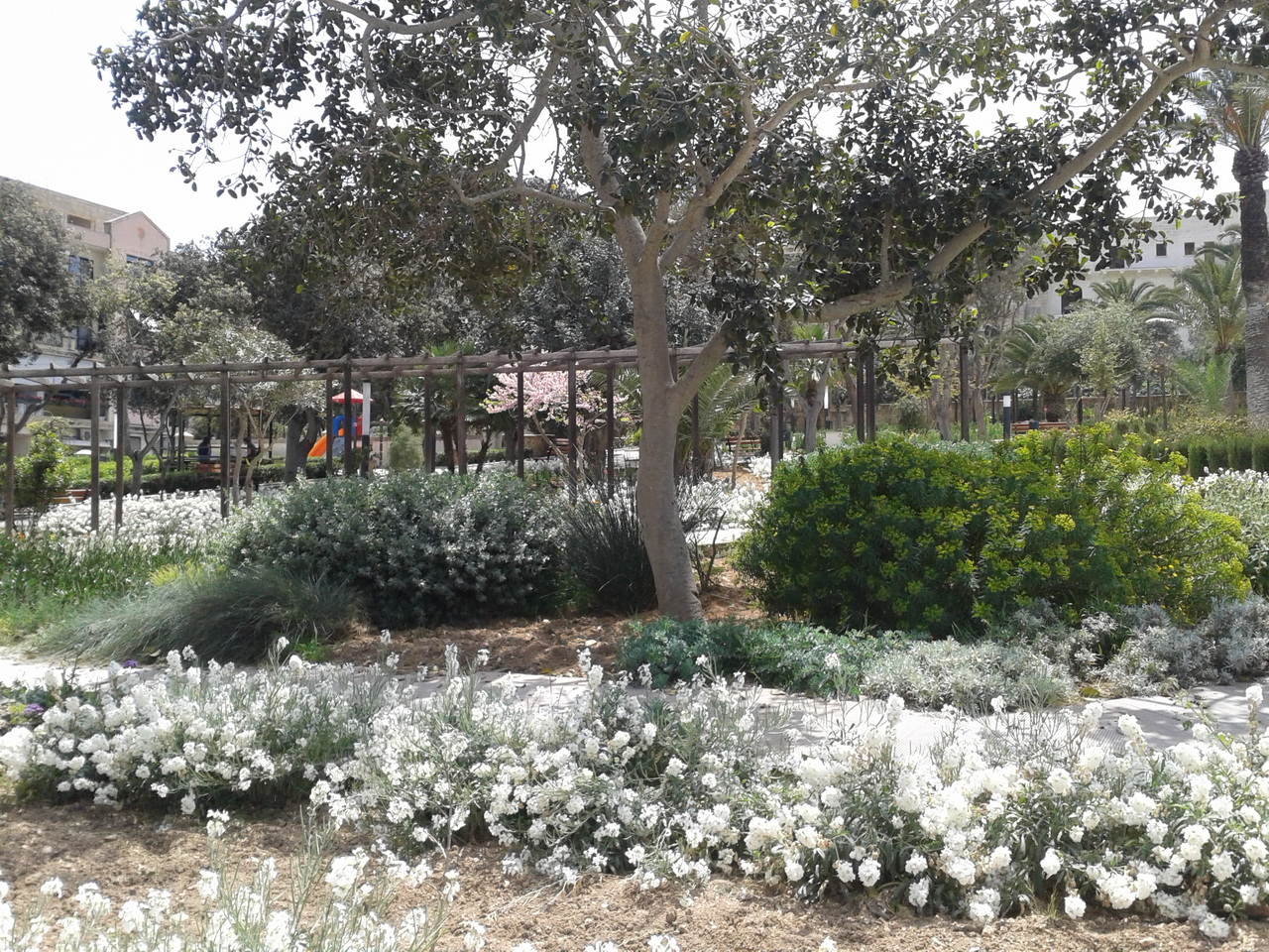 Villa Rundle Gozo