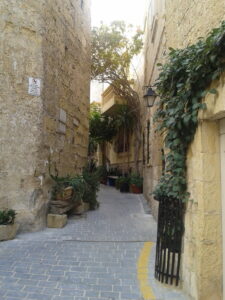 Il centro storico di Victoria