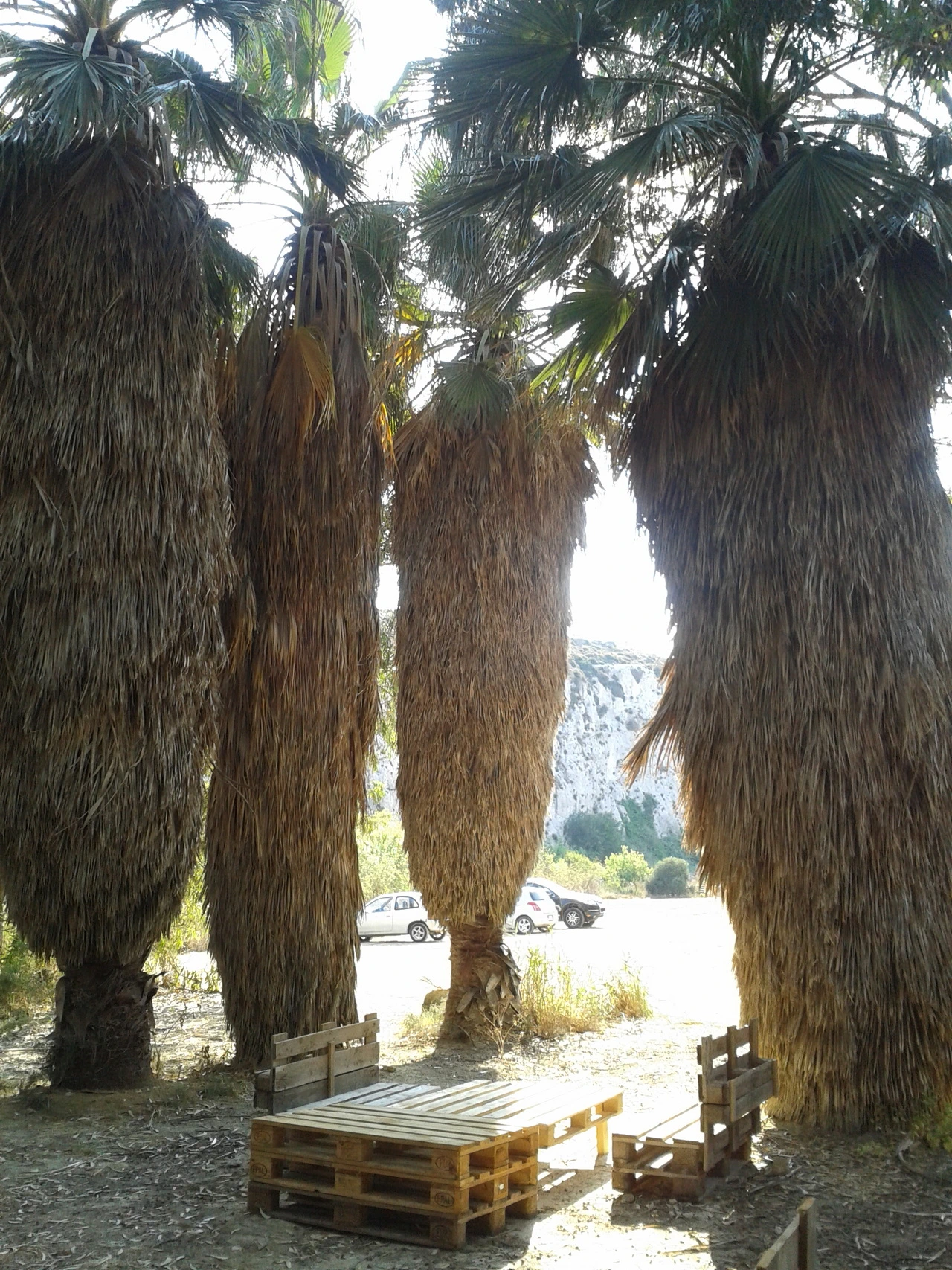 Mġarr ix-Xini