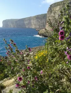 Xlendi