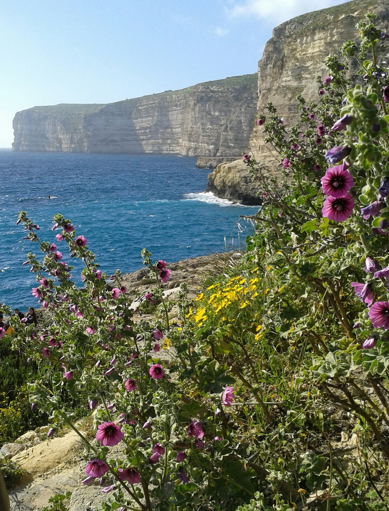 Xlendi