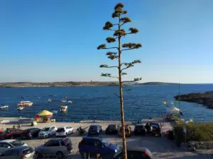 Ħondoq 